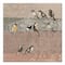 Collage Bird Patchwork 30" x 30" Canvas Wall Art